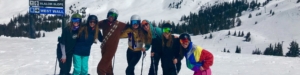 Group of friends skiing